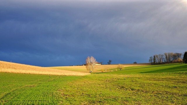 그린벨트 해제 지역 서초, 고양, 의왕, 의정부