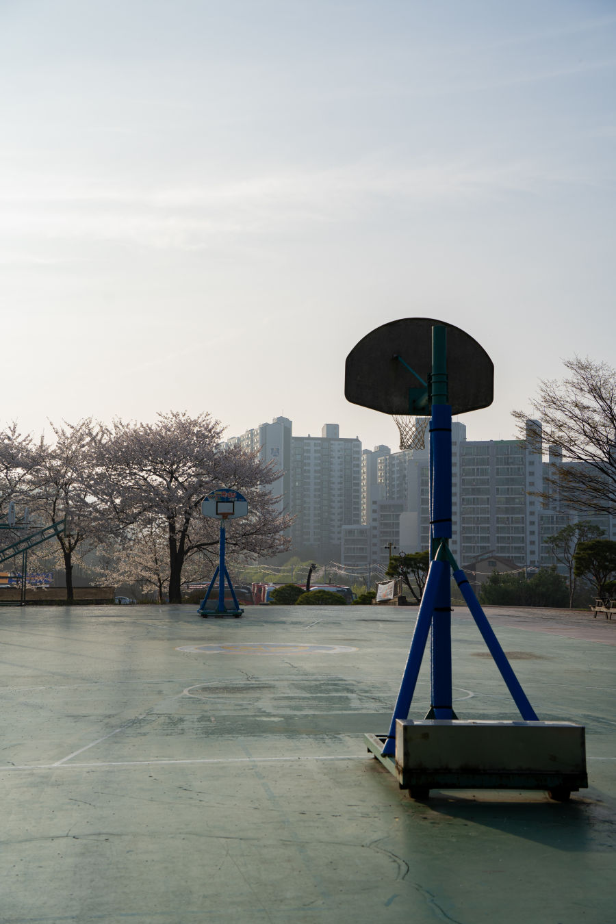 봉담 협성대학교