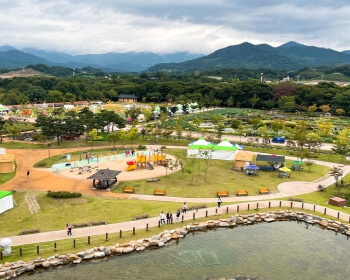 함양산삼축제