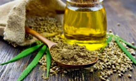 대마종자유 효능