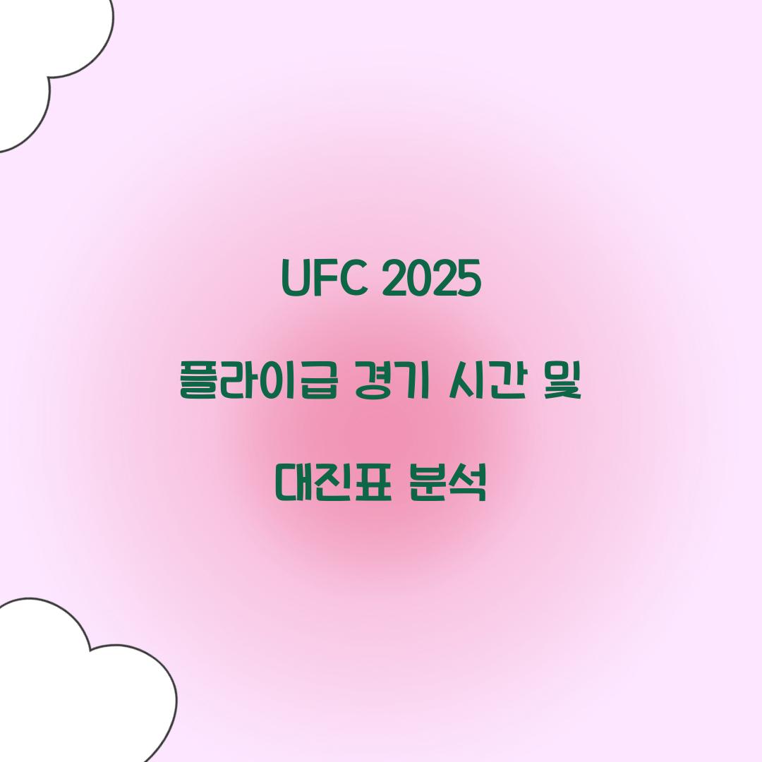 플라이급 경기 시간