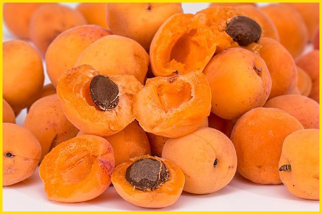 베타카로틴이 풍부한 살구 효능 8가지