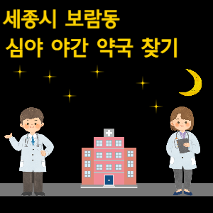 세종시 보람동 심야 야간 약국 찾기