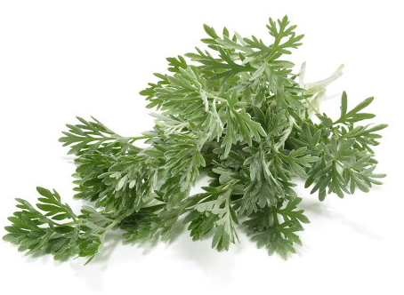 3월에 먹으면 좋은 제철 음식의 종류 Top 10 (봄철 음식) 두릅 냉이 쭈꾸미 취나물 씀바귀 바지락 달래 소라 부추 쑥