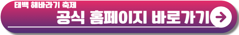 해바라기 축제