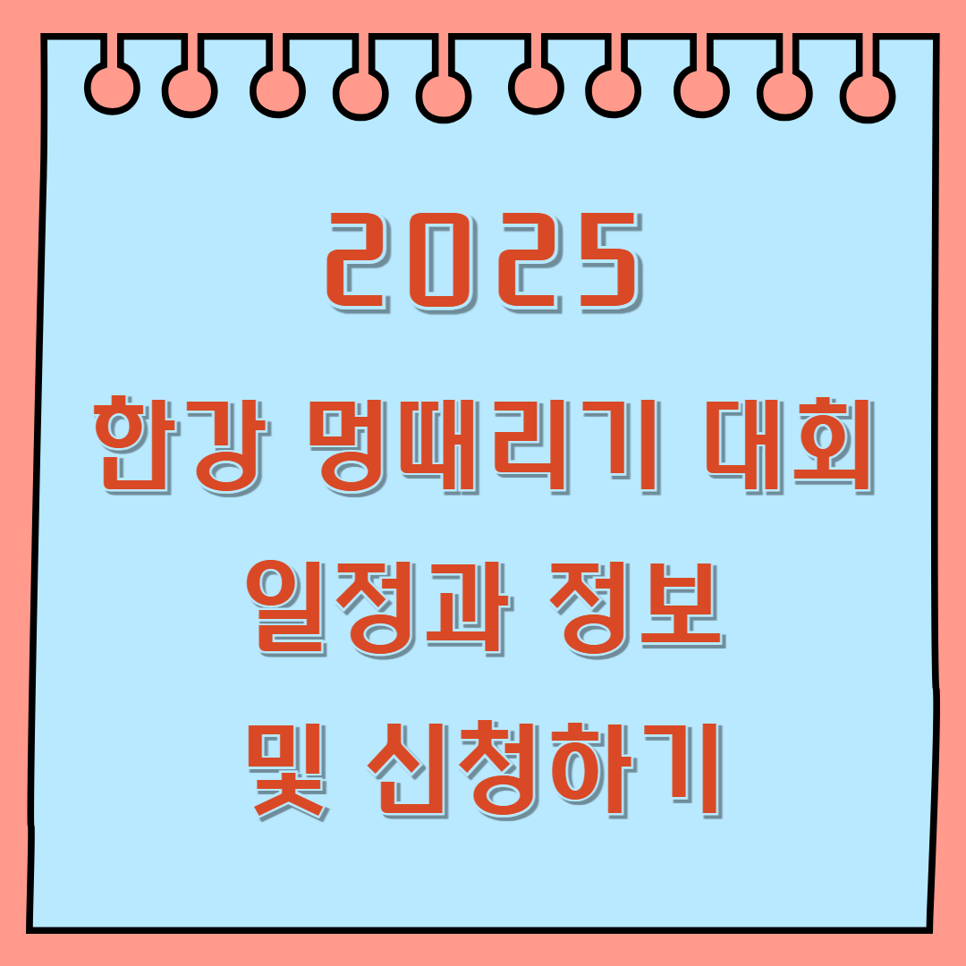 2025 한강 멍때리기 대회