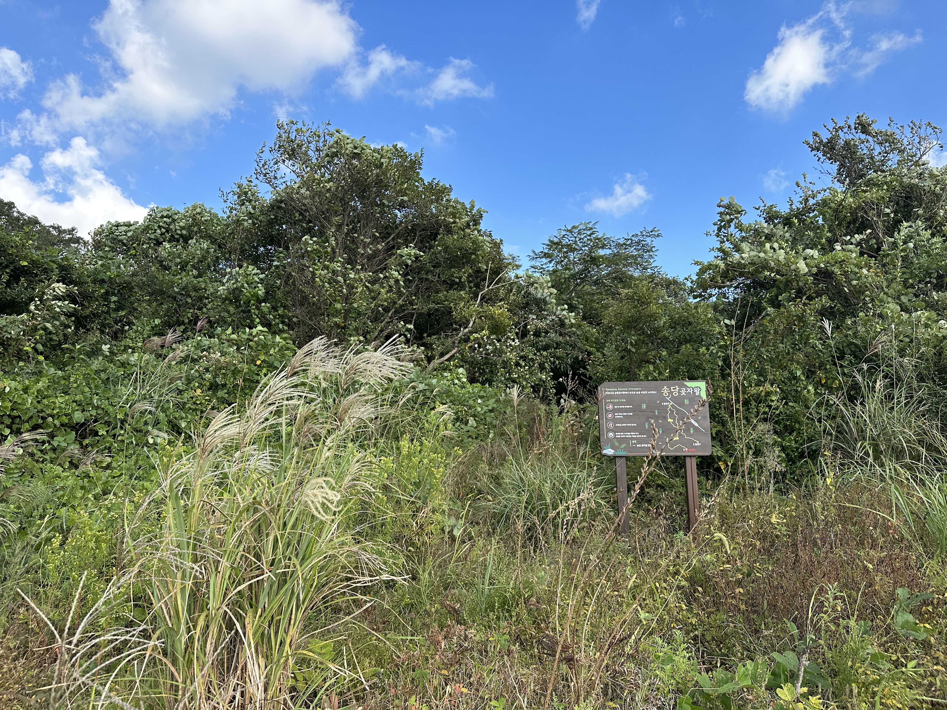송당곶자왈 3출입구