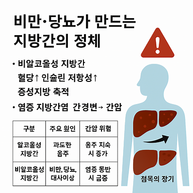 비만·당뇨가 만드는 지방간의 정체