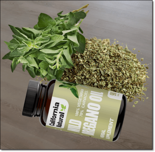 오레가노 잎과 보충제