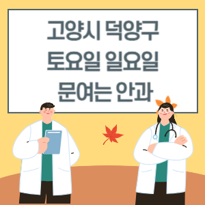 고양시 덕양구 토요일 일요일 안과 진료 문여는 병원 리스트