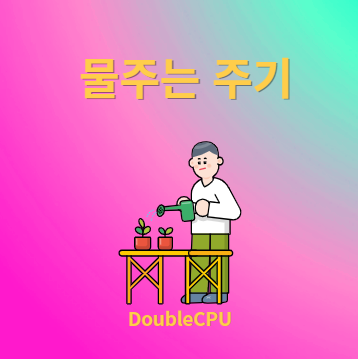 물 주는 주기