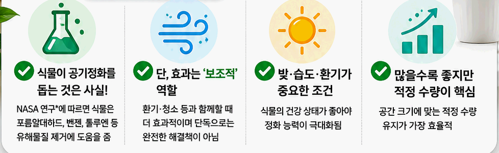 식물 정화 능력 팩트 체크 및 평수별 데이터