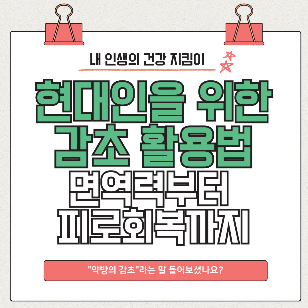 감초 효능 - 면역력부터 피로회복까지