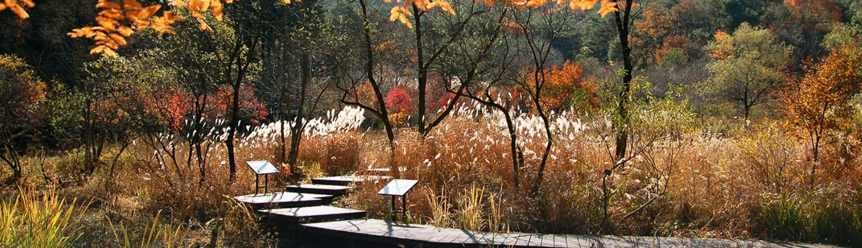 [반려견 동반, 가족 여행지]평강랜드❘아이들과 함께하는 반려견 놀이터, 캠핑장