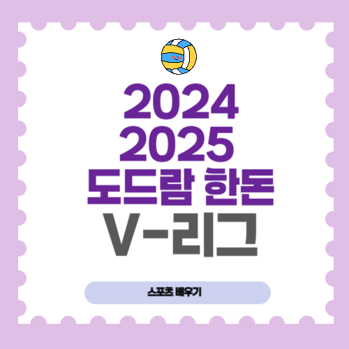 배구 시즌 개막