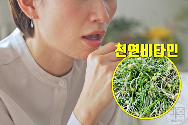 달래 효능 면역력 올리는 음식