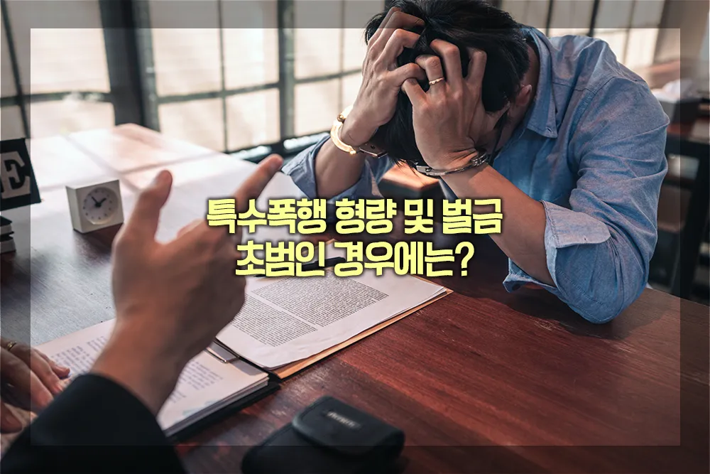 특수폭행 형량 벌금 초범