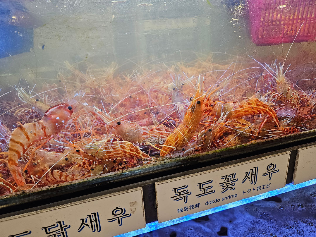 해운대 전통시장 