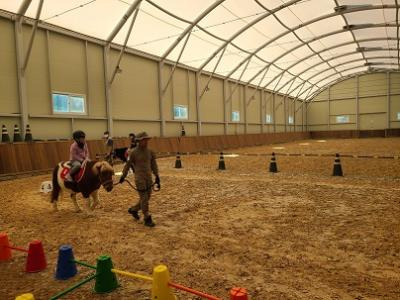 경기도 무료 어린이 말 체험 예약 꿀팁 (9~11월 조기 마감 주의)