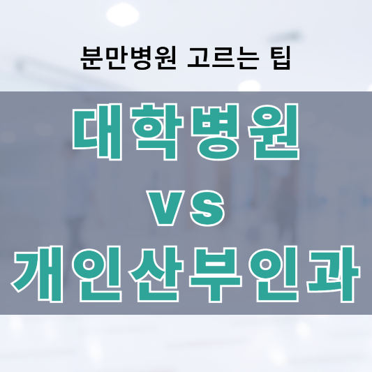 서울 분만 병원 고르는 팁 &ndash; 대학병원 vs 개인산부인과, 내게 맞는 병원은?