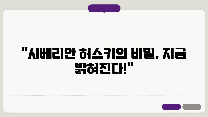 장엄한 시베리안 허스키 공개 : 종합 가이드