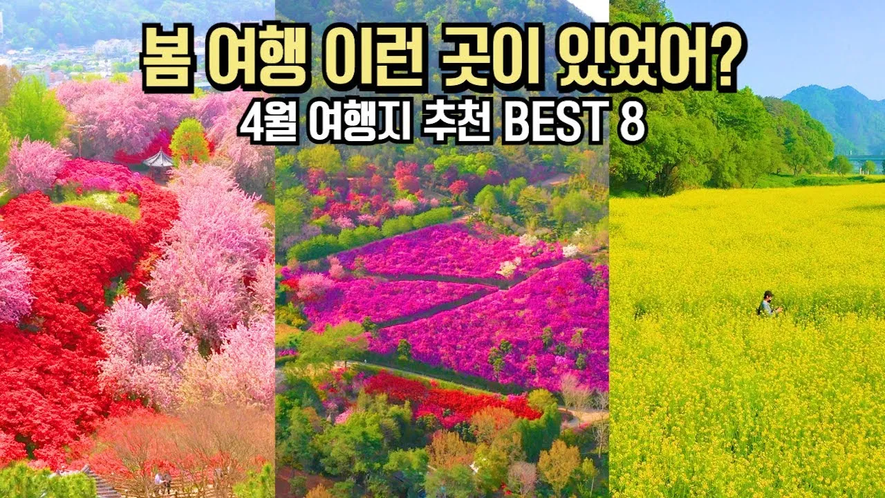 봄 국내 여행지 베스트 10 추천 맛집_1