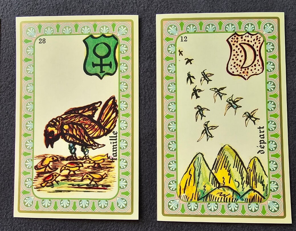 오라클 벨린 카드 배우기