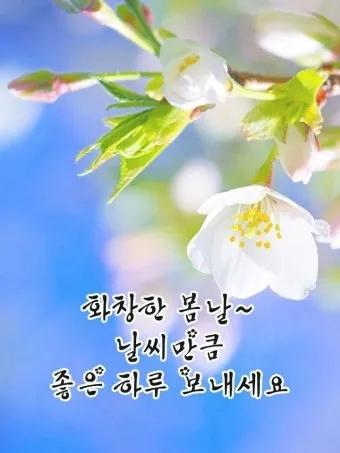 3월 인사말 모음 예시 문자_9