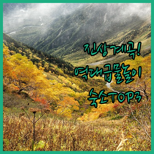 여름 휴가 추천 광양 진상계곡 물놀이..