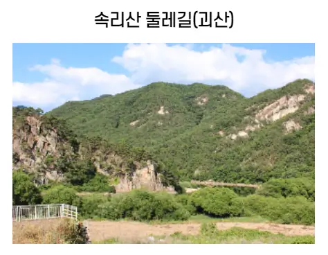 숲길체험-둘레길코스