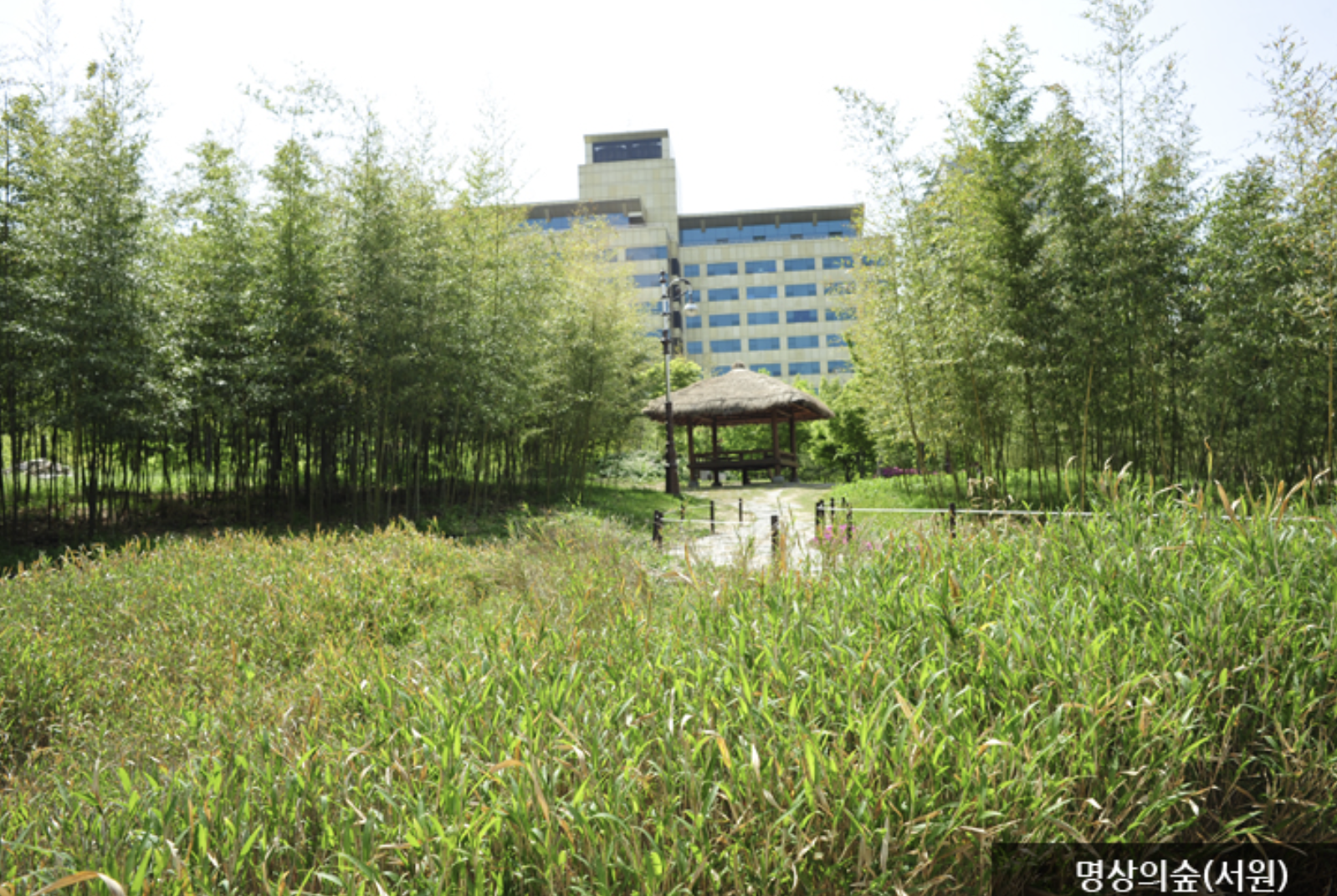 한밭수목원-명상의 숲