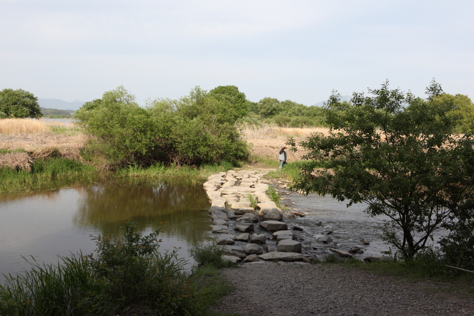 경남 창녕군 우포늪, 우포생태관, 우포출렁다리