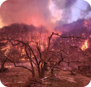 경남 산청 산불재해 이미지