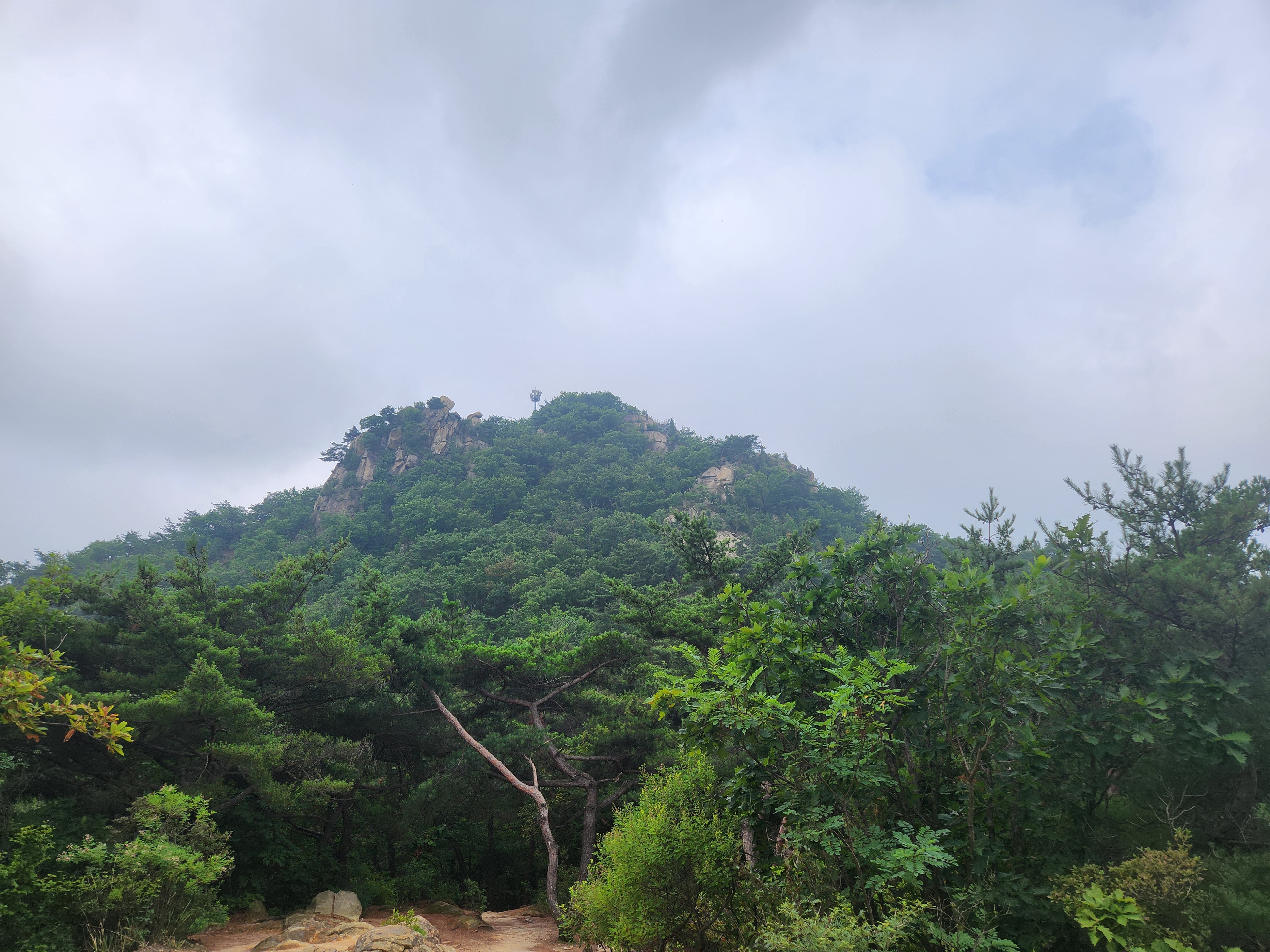 관악산 (18)