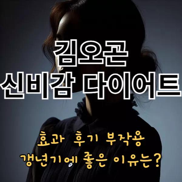 김오곤 신비감 다이어트 효과 후기 부작용(갱년기에 좋은 이유는)