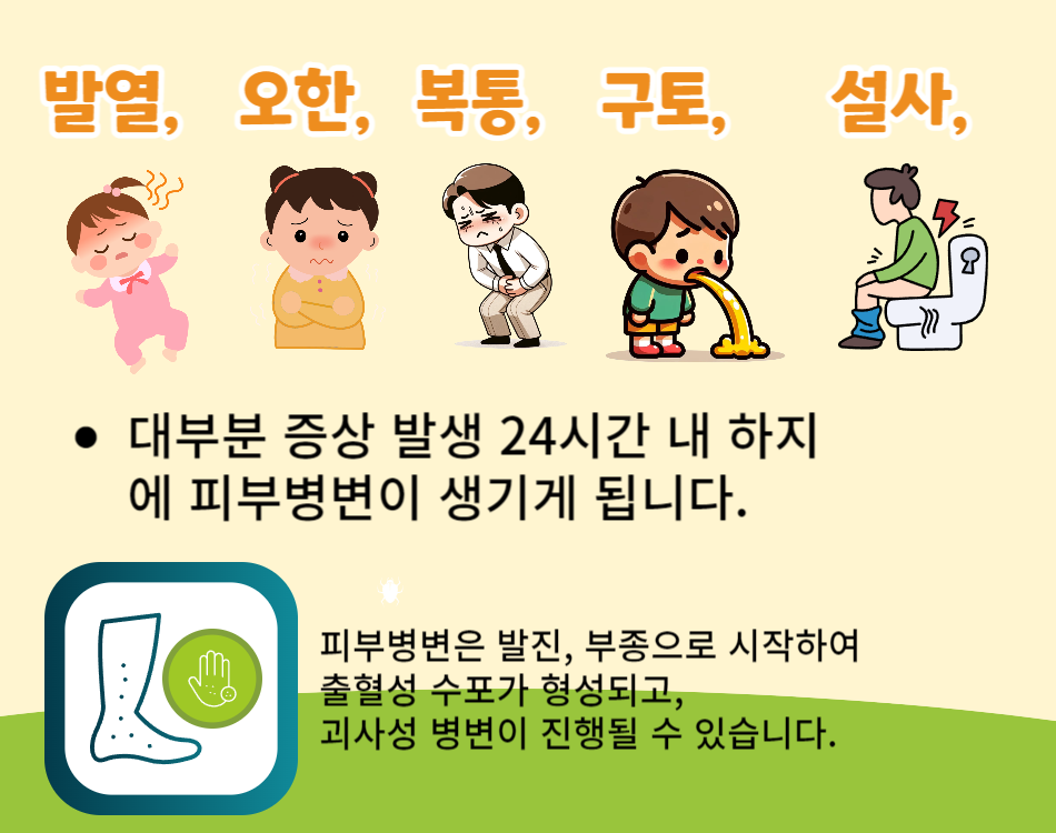 비브리오폐혈증 증상