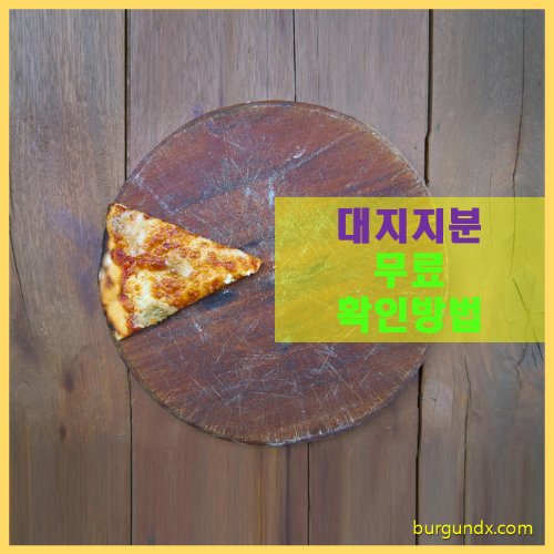 대지지분, 대지권, 소유권대지권