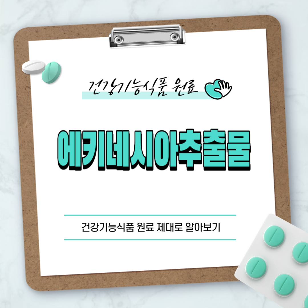 에키네시아추출물