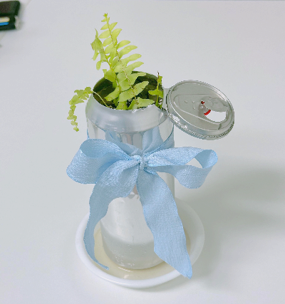 무늬보스톤고사리