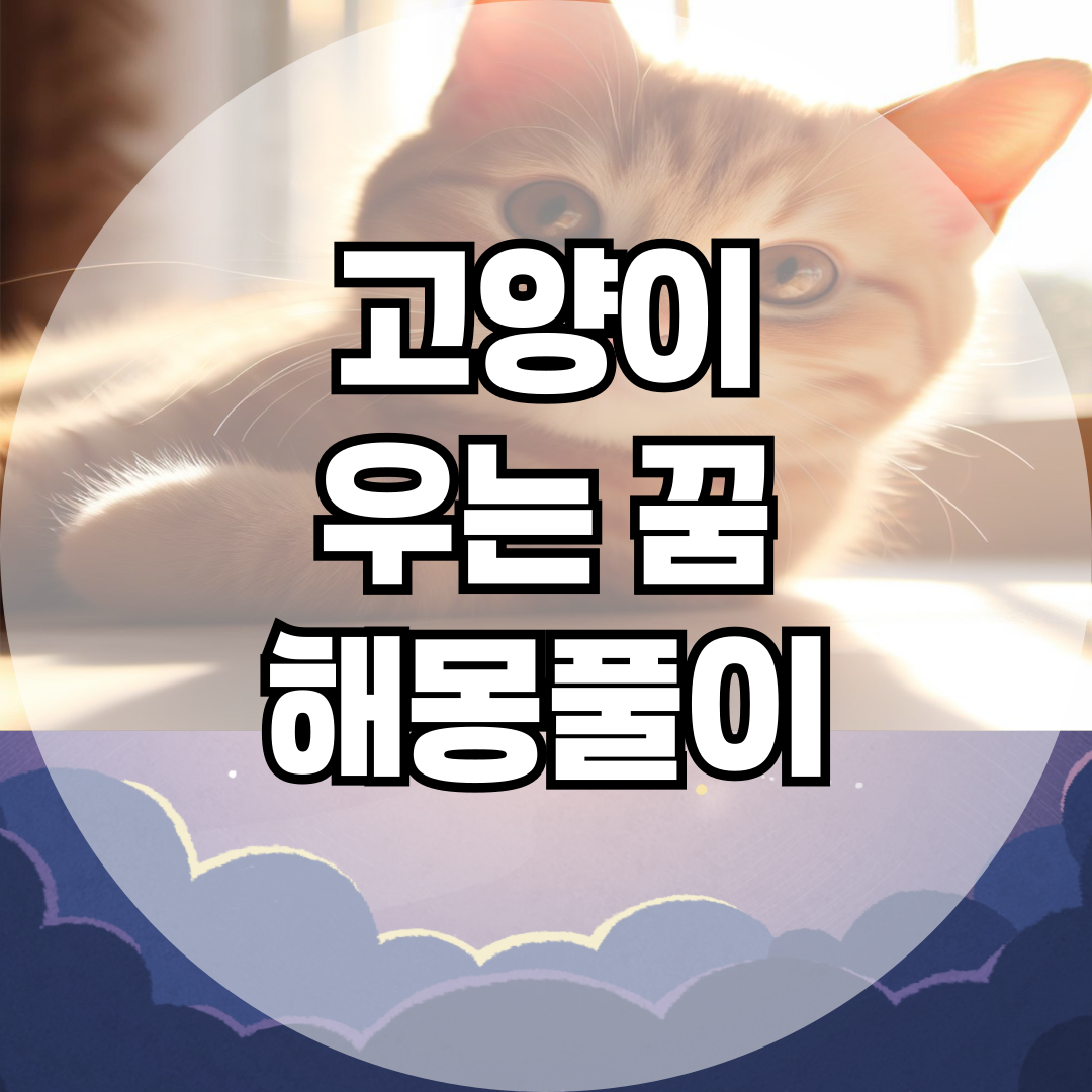 고양이 우는 꿈, 내 감정의 거울일까? 심리와 의미를 파헤쳐보자!