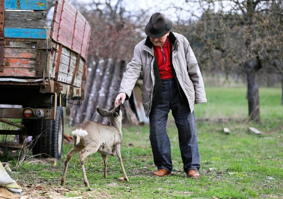 2025년 노인 재취업 정책