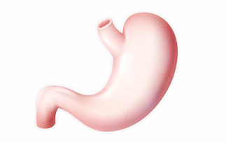 보스웰리아-효능