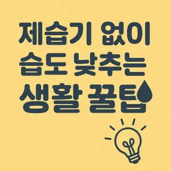 제습기 없이 습기 제거 끝 숯 염화칼슘 등 천연 제습제 활용법 완벽 가이드_11