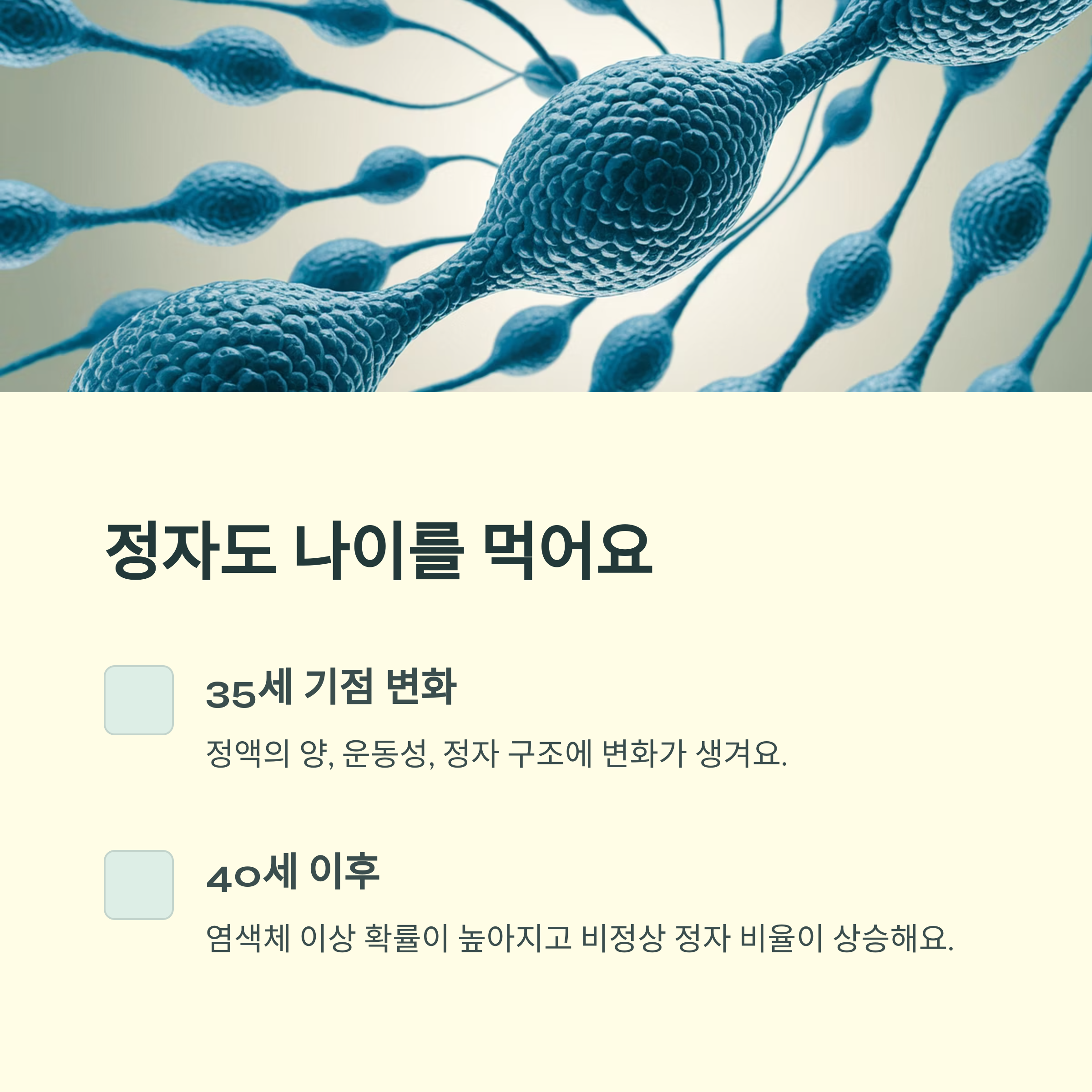 남성 난임 – 정자 나이와 품질 변화