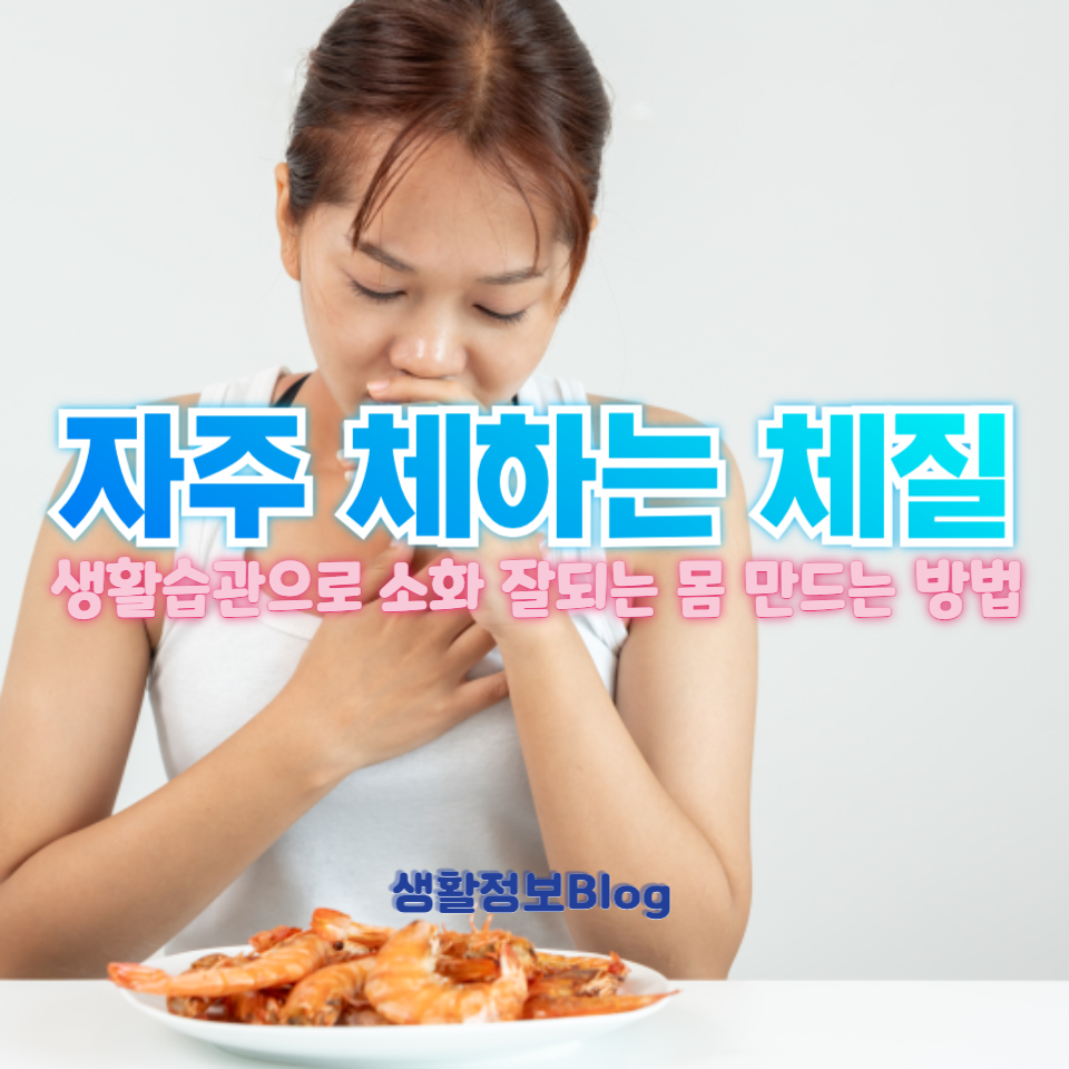 자주 체하는 체질