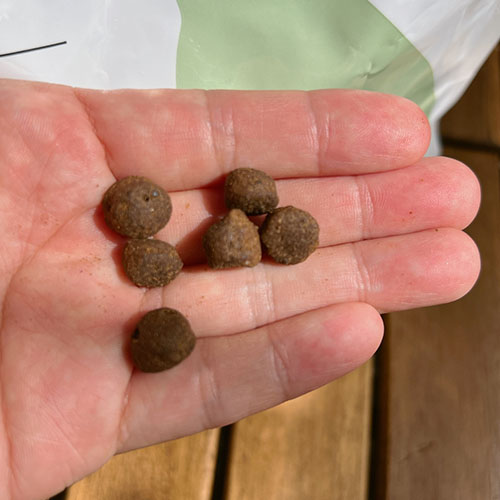 엔토벳-인섹트-사료