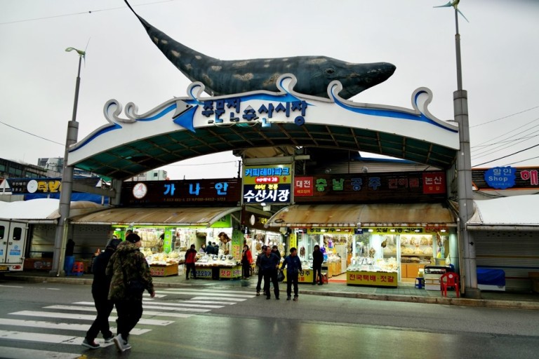 대체텍스트