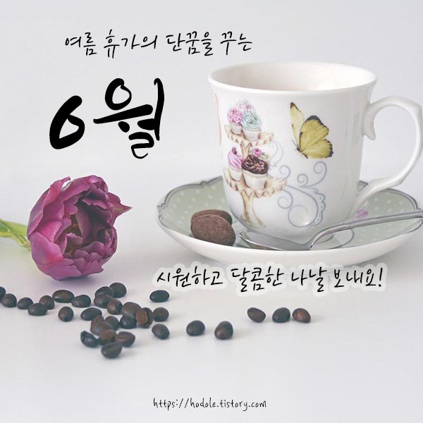 달콤한-나날