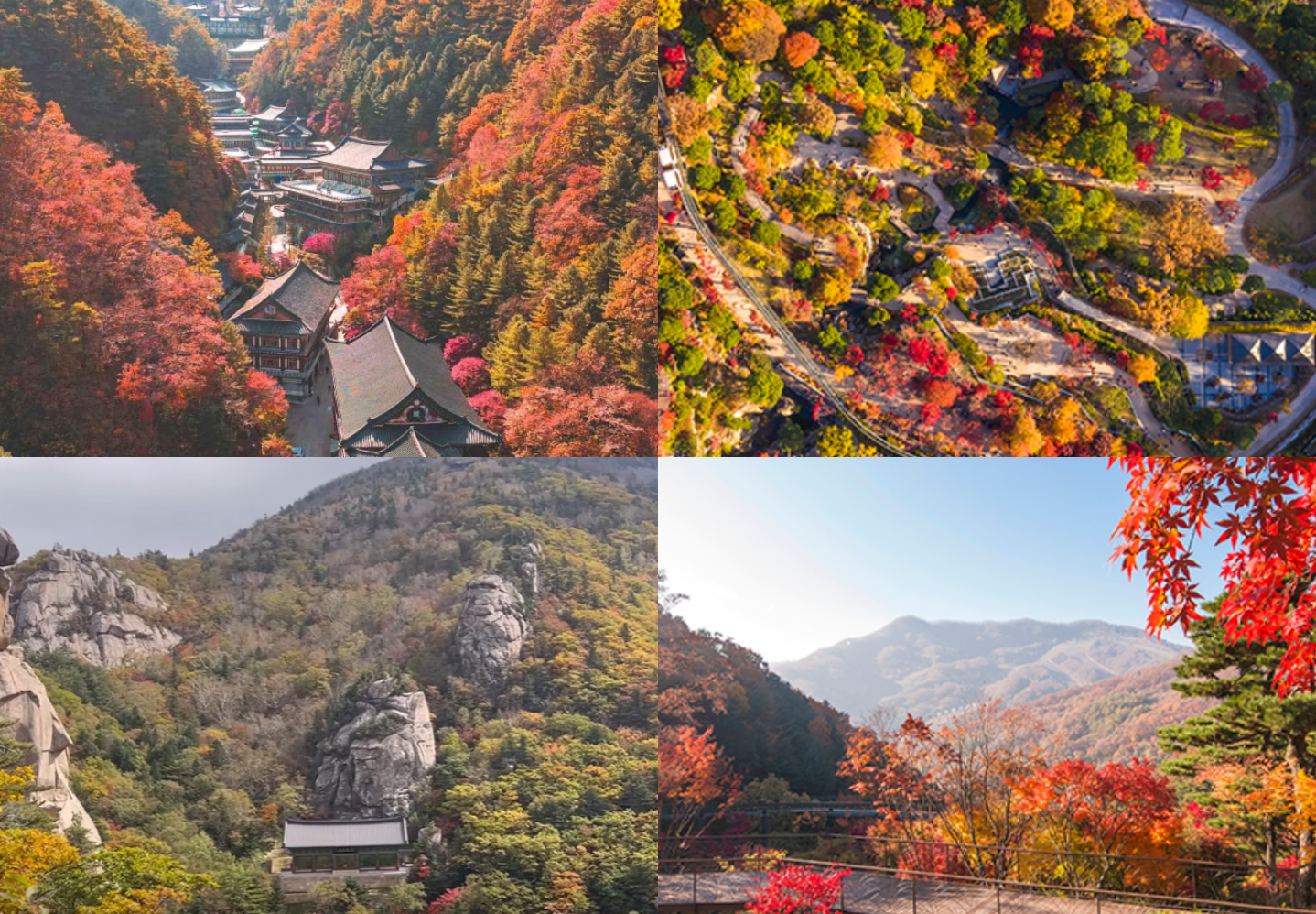 2024년 단풍시기