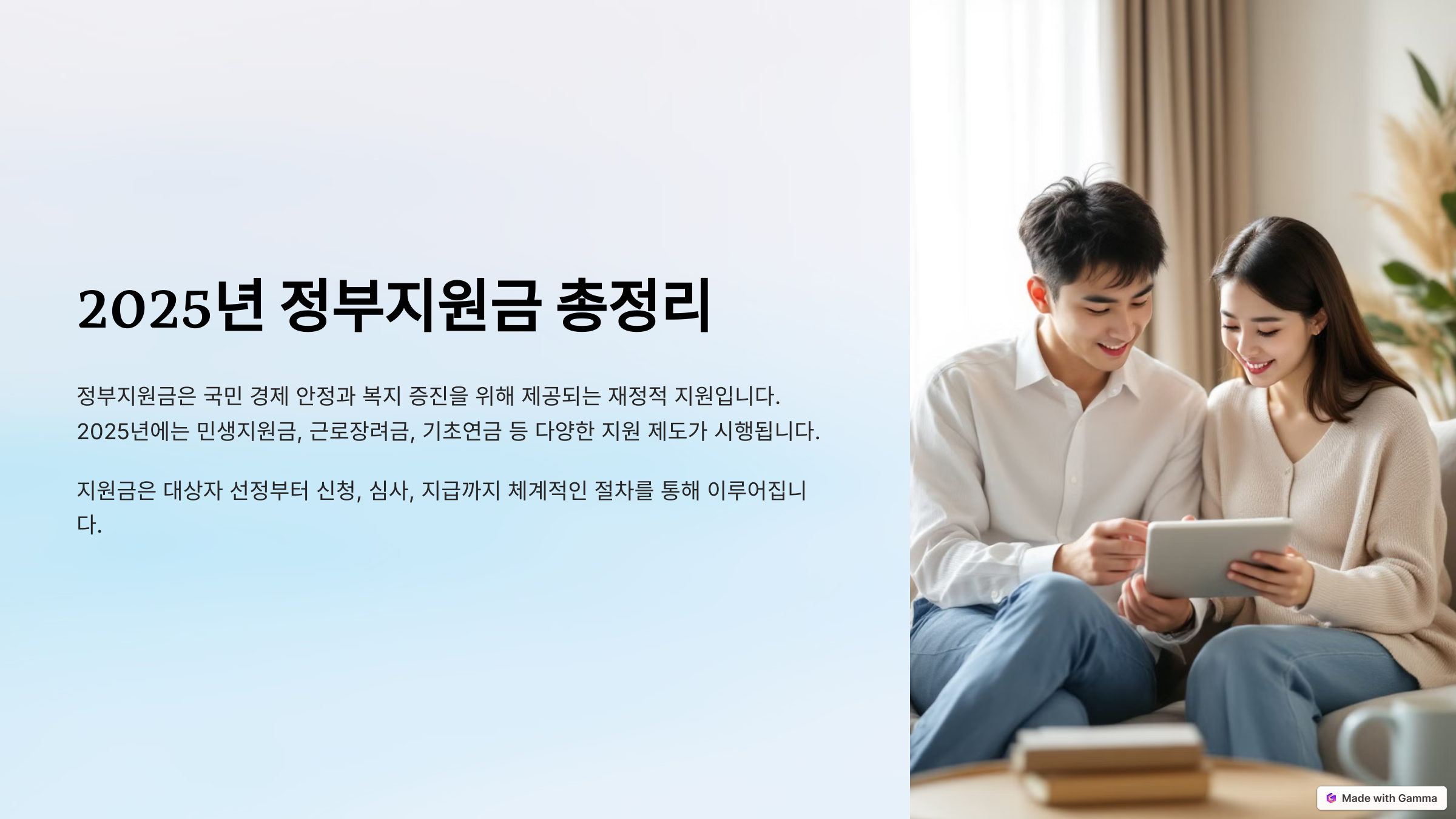 2025년정부지원금